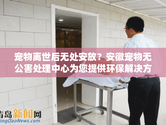 宠物离世后无处安放？安徽宠物无公害处理中心为您提供环保解决方案