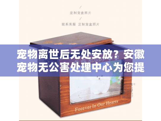宠物离世后无处安放？安徽宠物无公害处理中心为您提供环保解决方案