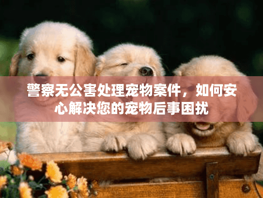 警察无公害处理宠物案件，如何安心解决您的宠物后事困扰