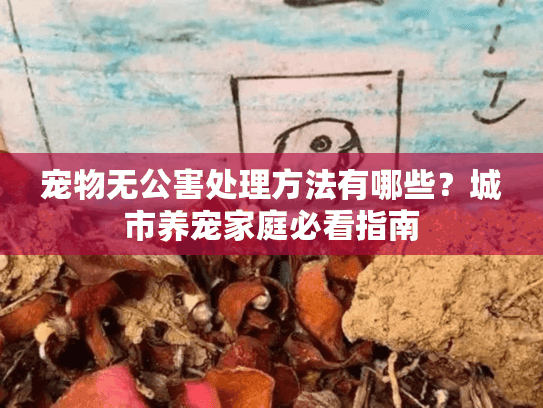 宠物无公害处理方法有哪些？城市养宠家庭必看指南