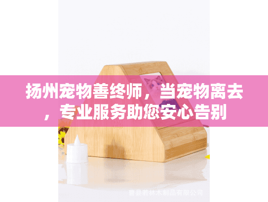 扬州宠物善终师，当宠物离去，专业服务助您安心告别