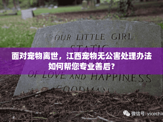 面对宠物离世，江西宠物无公害处理办法如何帮您专业善后？