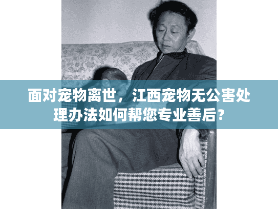 面对宠物离世，江西宠物无公害处理办法如何帮您专业善后？