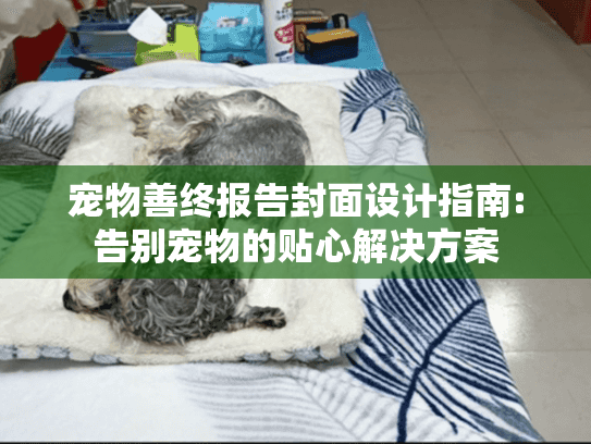 宠物善终报告封面设计指南:告别宠物的贴心解决方案