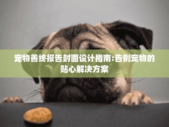 宠物善终报告封面设计指南:告别宠物的贴心解决方案