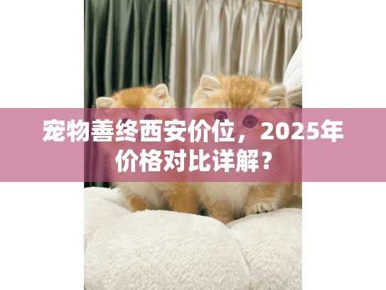 宠物善终西安价位，2025年价格对比详解？