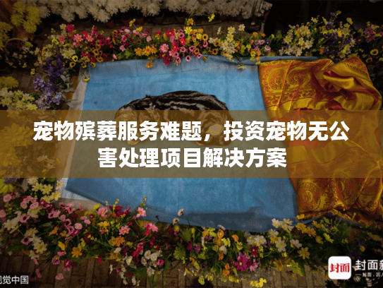 宠物殡葬服务难题，投资宠物无公害处理项目解决方案