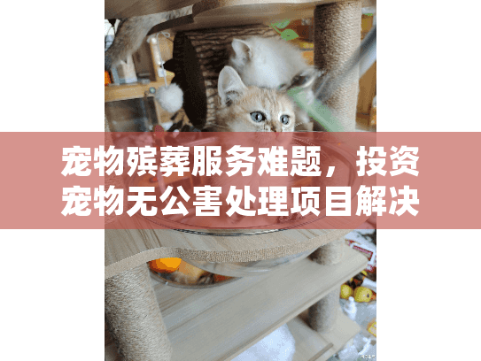 宠物殡葬服务难题，投资宠物无公害处理项目解决方案