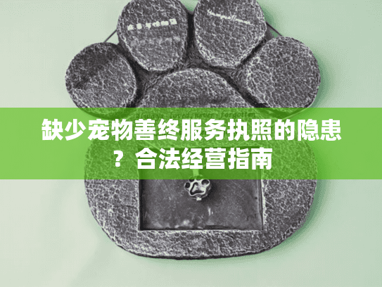 缺少宠物善终服务执照的隐患？合法经营指南