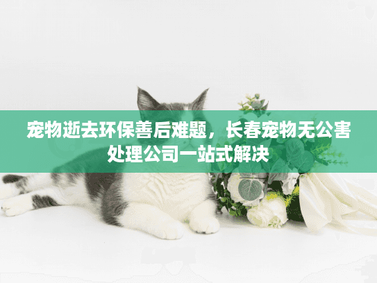 宠物逝去环保善后难题，长春宠物无公害处理公司一站式解决