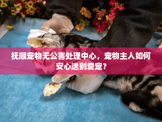 抚顺宠物无公害处理中心，宠物主人如何安心送别爱宠？