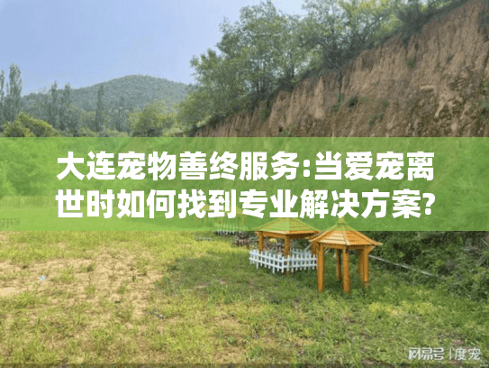 大连宠物善终服务:当爱宠离世时如何找到专业解决方案?