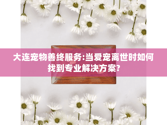 大连宠物善终服务:当爱宠离世时如何找到专业解决方案?