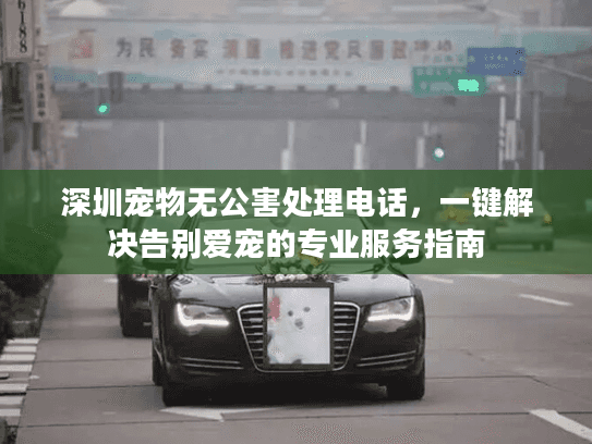 深圳宠物无公害处理电话，一键解决告别爱宠的专业服务指南