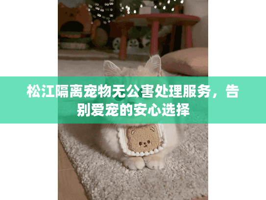 松江隔离宠物无公害处理服务，告别爱宠的安心选择