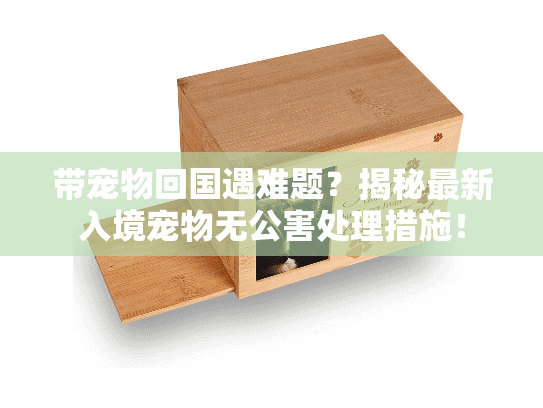 带宠物回国遇难题？揭秘最新入境宠物无公害处理措施！