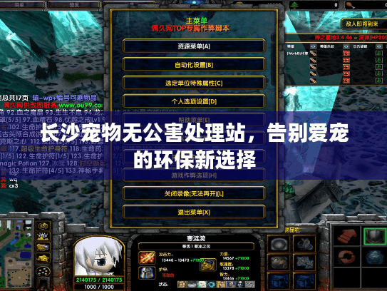 长沙宠物无公害处理站，告别爱宠的环保新选择