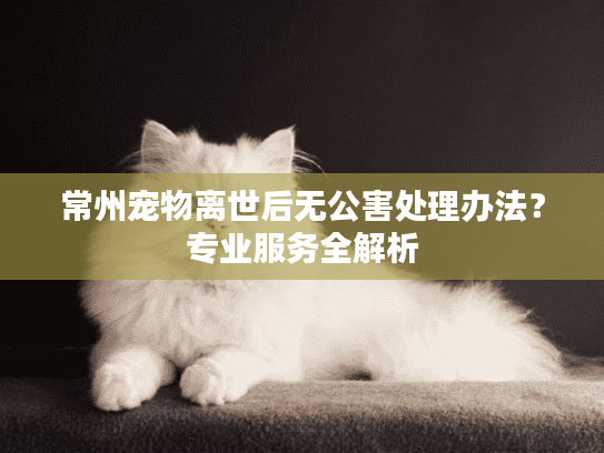常州宠物离世后无公害处理办法？专业服务全解析