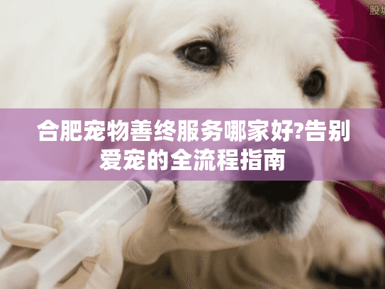 合肥宠物善终服务哪家好?告别爱宠的全流程指南