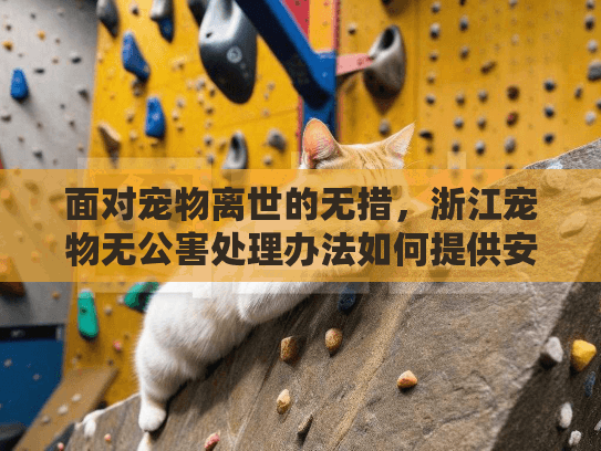 面对宠物离世的无措，浙江宠物无公害处理办法如何提供安心服务？