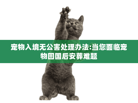 宠物入境无公害处理办法:当您面临宠物回国后安葬难题