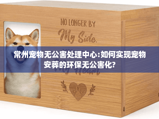 常州宠物无公害处理中心:如何实现宠物安葬的环保无公害化?