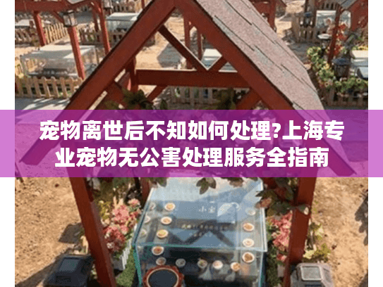 宠物离世后不知如何处理?上海专业宠物无公害处理服务全指南