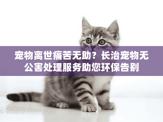 宠物离世痛苦无助？长治宠物无公害处理服务助您环保告别