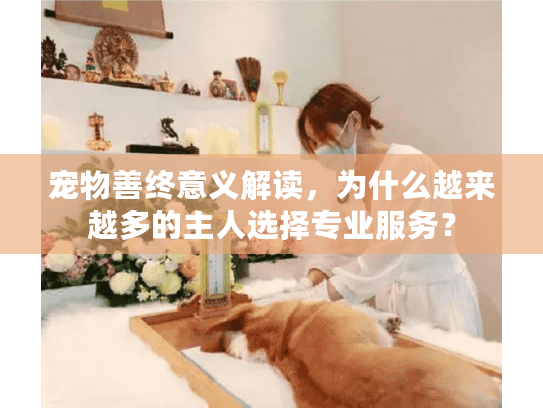 宠物善终意义解读，为什么越来越多的主人选择专业服务？