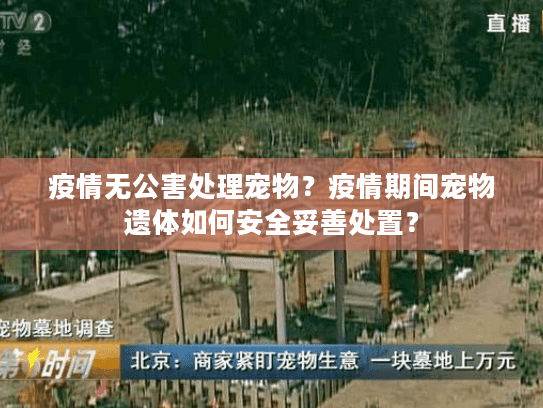 疫情无公害处理宠物？疫情期间宠物遗体如何安全妥善处置？