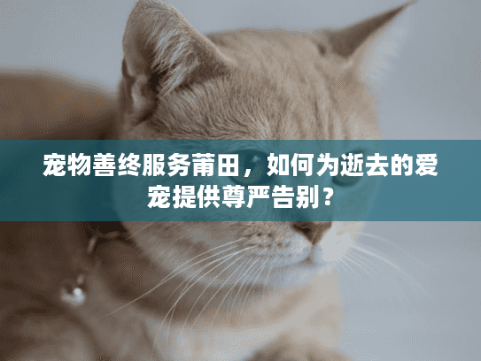 宠物善终服务莆田，如何为逝去的爱宠提供尊严告别？