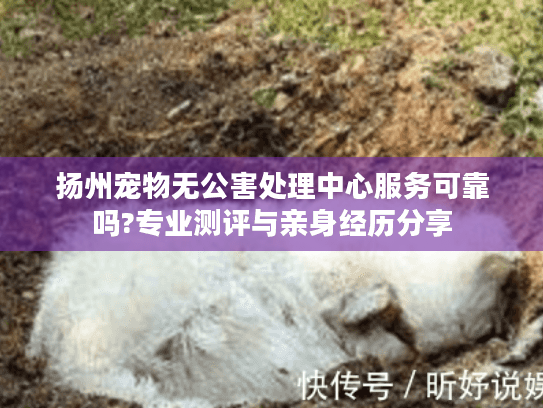 扬州宠物无公害处理中心服务可靠吗?专业测评与亲身经历分享
