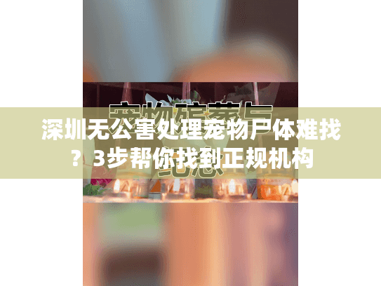深圳无公害处理宠物尸体难找？3步帮你找到正规机构