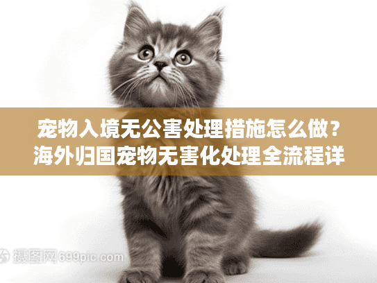 宠物入境无公害处理措施怎么做？海外归国宠物无害化处理全流程详解