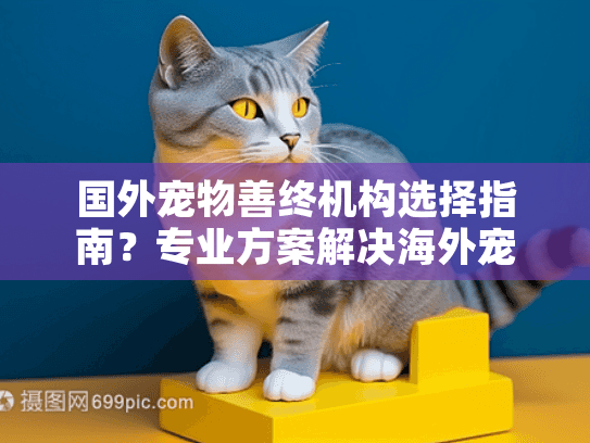 国外宠物善终机构选择指南？专业方案解决海外宠物告别难题