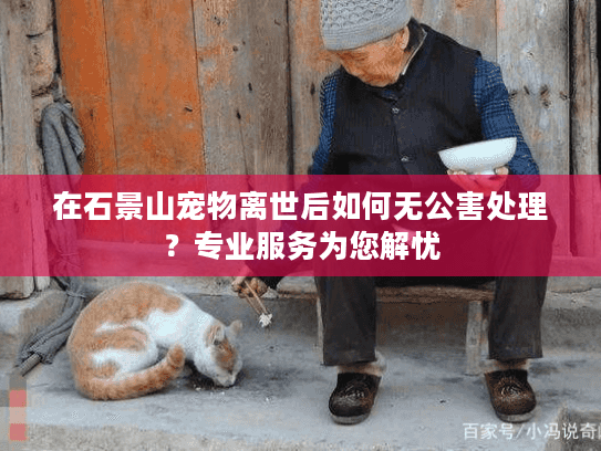 在石景山宠物离世后如何无公害处理？专业服务为您解忧