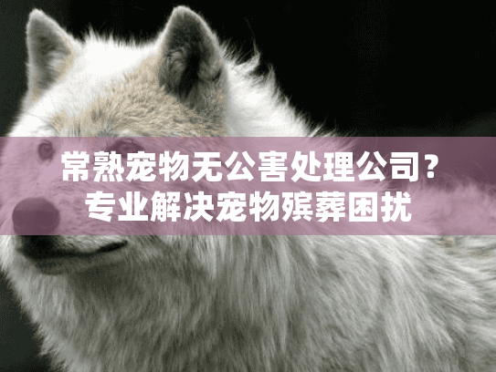 常熟宠物无公害处理公司？专业解决宠物殡葬困扰