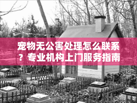 宠物无公害处理怎么联系？专业机构上门服务指南