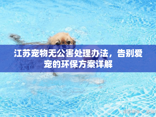 江苏宠物无公害处理办法，告别爱宠的环保方案详解
