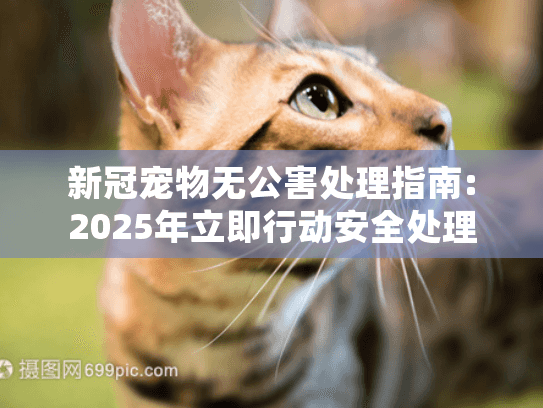新冠宠物无公害处理指南:2025年立即行动安全处理