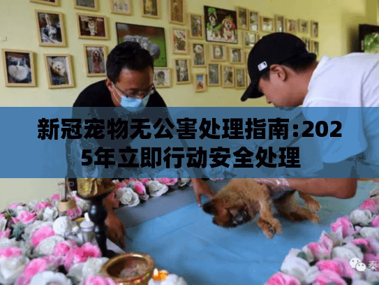 新冠宠物无公害处理指南:2025年立即行动安全处理