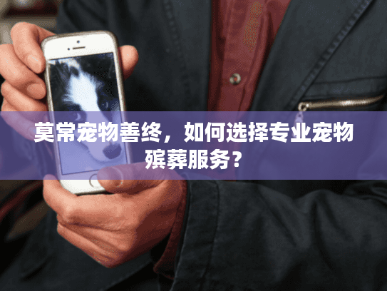 莫常宠物善终，如何选择专业宠物殡葬服务？
