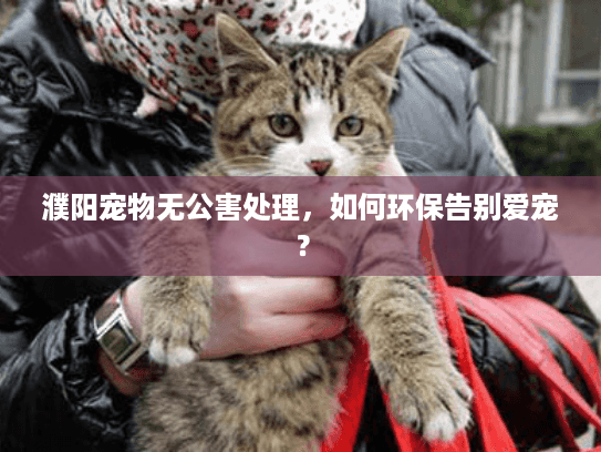 濮阳宠物无公害处理，如何环保告别爱宠？