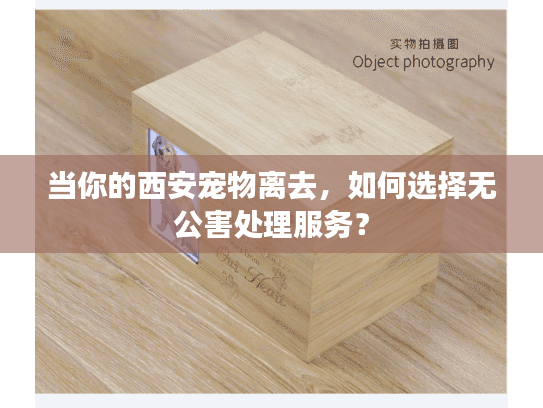 当你的西安宠物离去，如何选择无公害处理服务？