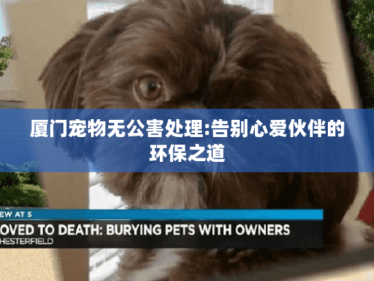 厦门宠物无公害处理:告别心爱伙伴的环保之道