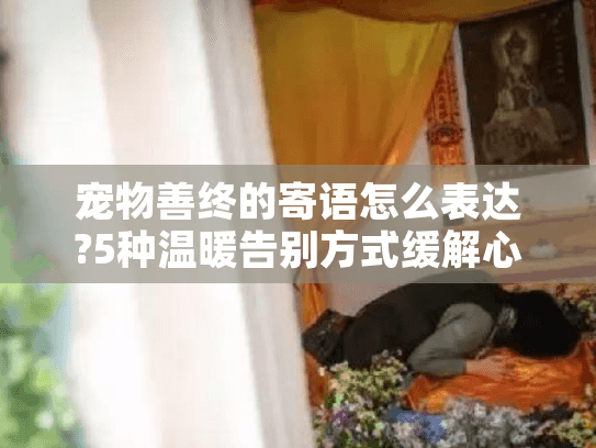 宠物善终的寄语怎么表达?5种温暖告别方式缓解心痛