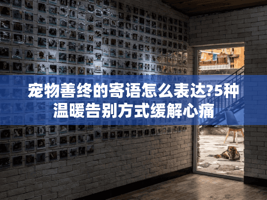 宠物善终的寄语怎么表达?5种温暖告别方式缓解心痛