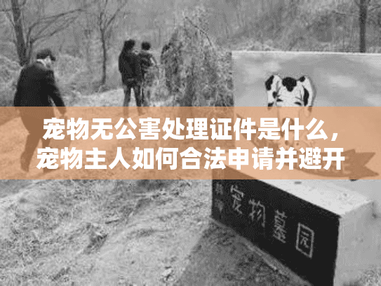 宠物无公害处理证件是什么，宠物主人如何合法申请并避开风险？