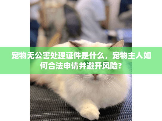 宠物无公害处理证件是什么，宠物主人如何合法申请并避开风险？