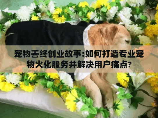 宠物善终创业故事:如何打造专业宠物火化服务并解决用户痛点?